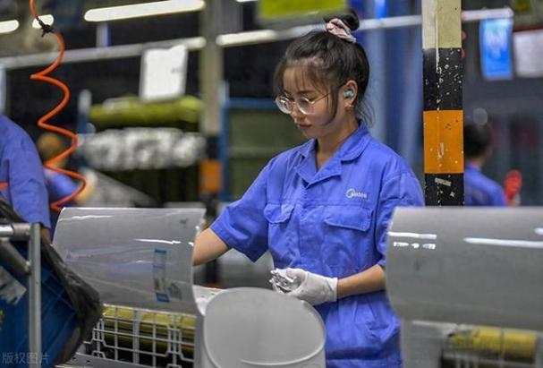 劳务派遣工的出路在哪里？——现状、困境与转型路径